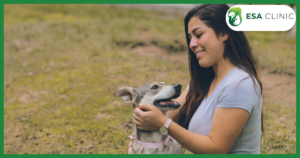 Tennessee Service Dog Laws: What Handlers Need to Know