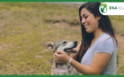 Tennessee Service Dog Laws: What Handlers Need to Know