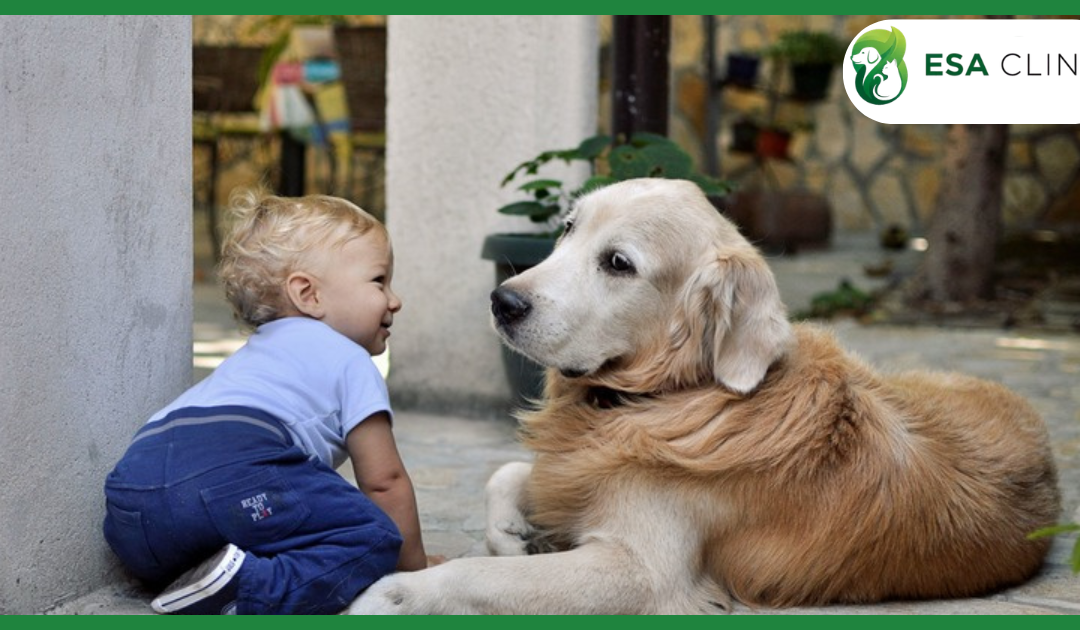 BPD Service Dog: How These Dogs Help People With Borderline Personality Disorder
