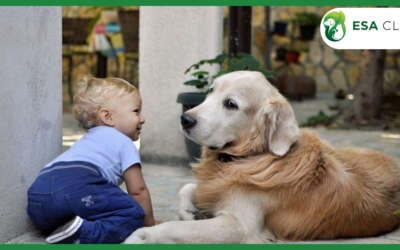 BPD Service Dog: How These Dogs Help People With Borderline Personality Disorder