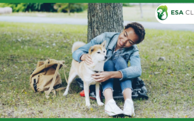 How Emotional Support Animals Reduce Loneliness and Improve Mental Health
