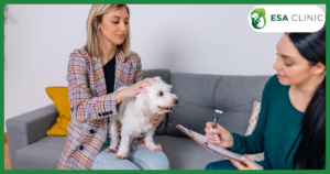How to Get an ESA Letter From a Licensed Mental Health Professional