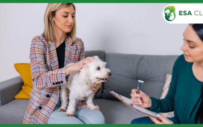 How to Get an ESA Letter From a Licensed Mental Health Professional