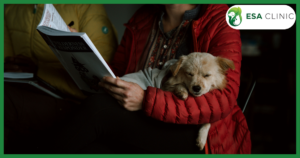 New Emotional Support Anim (ESA) Law Texas