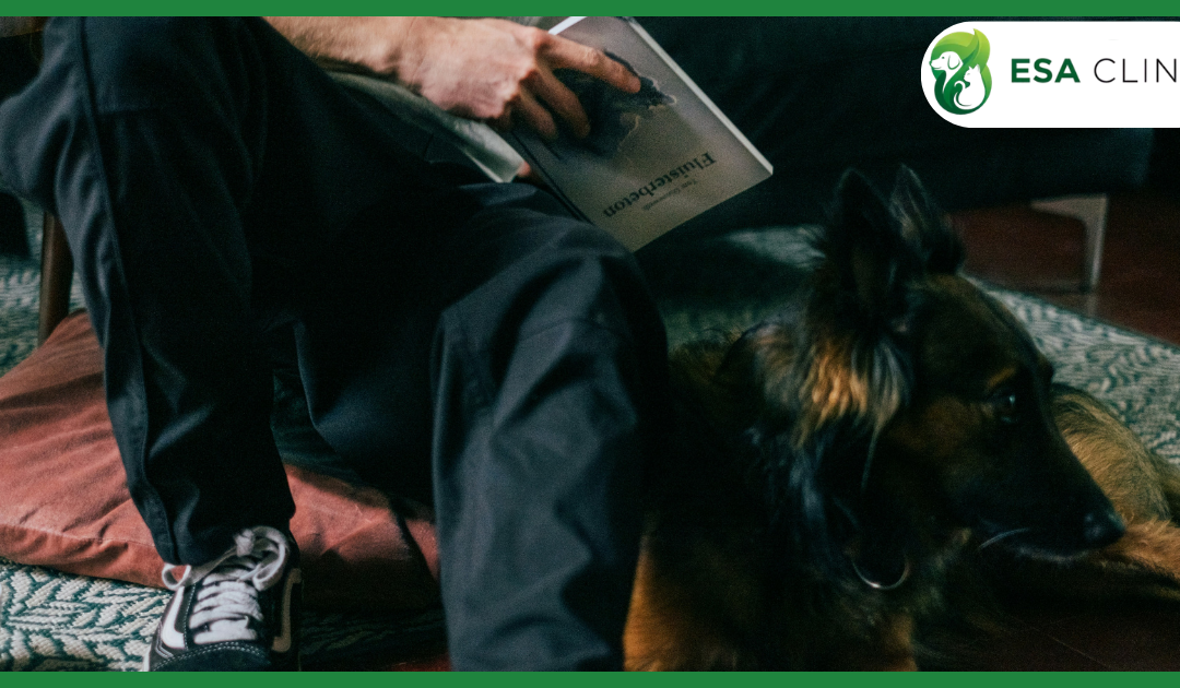 New Emotional Support Animal (ESA) Law Florida