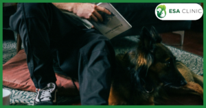 New Emotional Support Animal (ESA) Law Florida