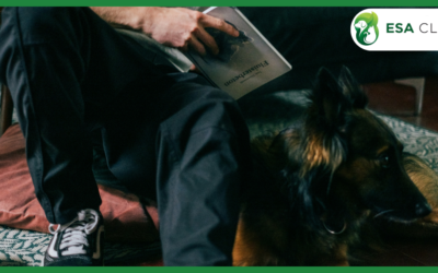 New Emotional Support Animal (ESA) Law Florida