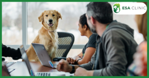 New Emotional Support Animal (ESA) Law New York