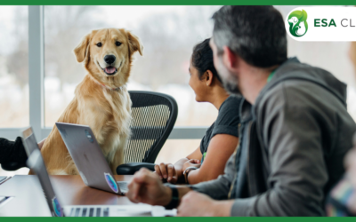 New Emotional Support Animal (ESA) Law New York
