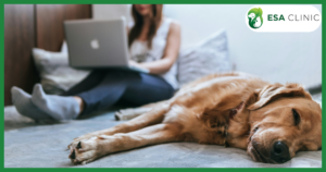 New Emotional Support Animal (ESA) Law Utah