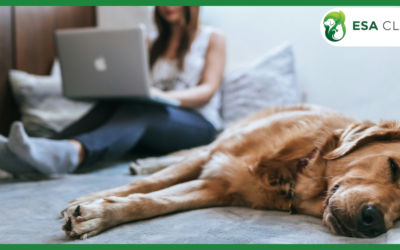 New Emotional Support Animal (ESA) Law Utah
