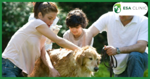 Psychiatric Service Dog Housing Letter Requirements in Texas