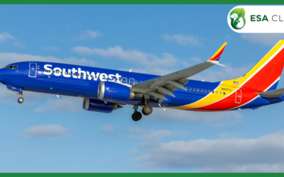 Southwest Airlines Pet Policy: 2026 Guide to Fees, Carriers & Service Animal Rules