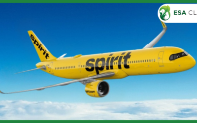 Spirit Airlines Pet Policy: 2026 Guide to Fees, Carriers & Service Animal Rules