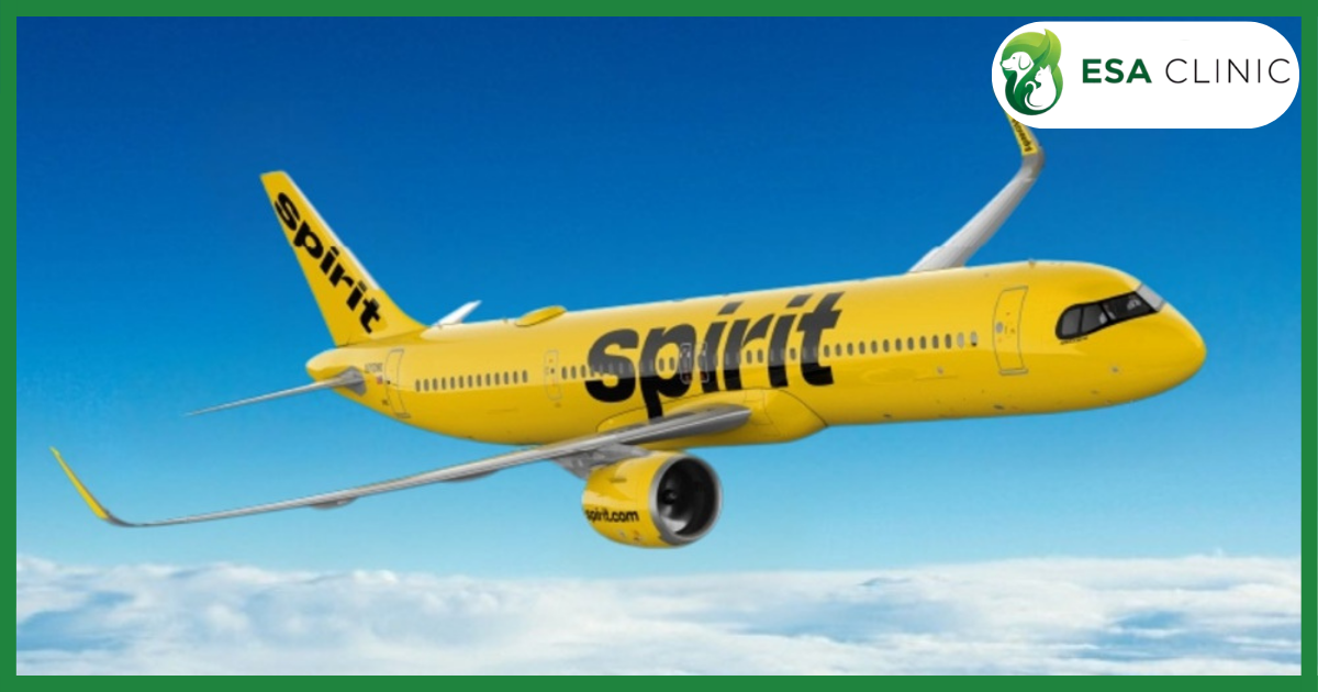 Spirit Airlines Pet Policy