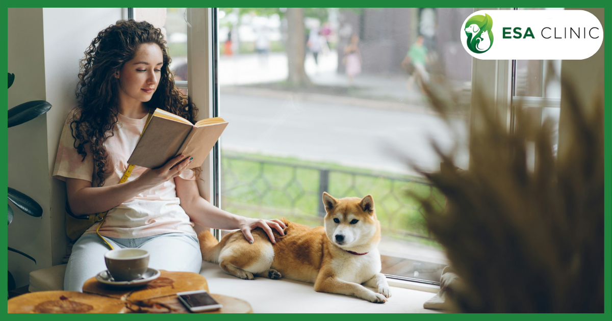 California Emotional Support Animal Requirements: The Complete 2026 Guide