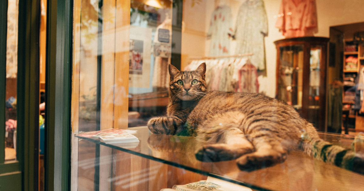 Can an Apartment Complex Deny an Emotional Support Animal