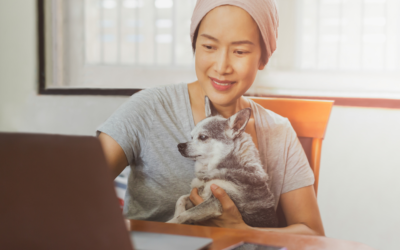 Can an Apartment Complex Deny an Emotional Support Animal?