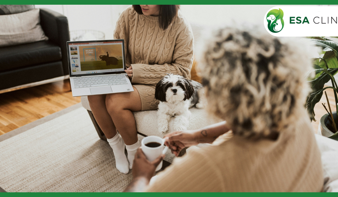 Can Landlords Charge for Emotional Support Animals? What Renters Need to Know in 2026