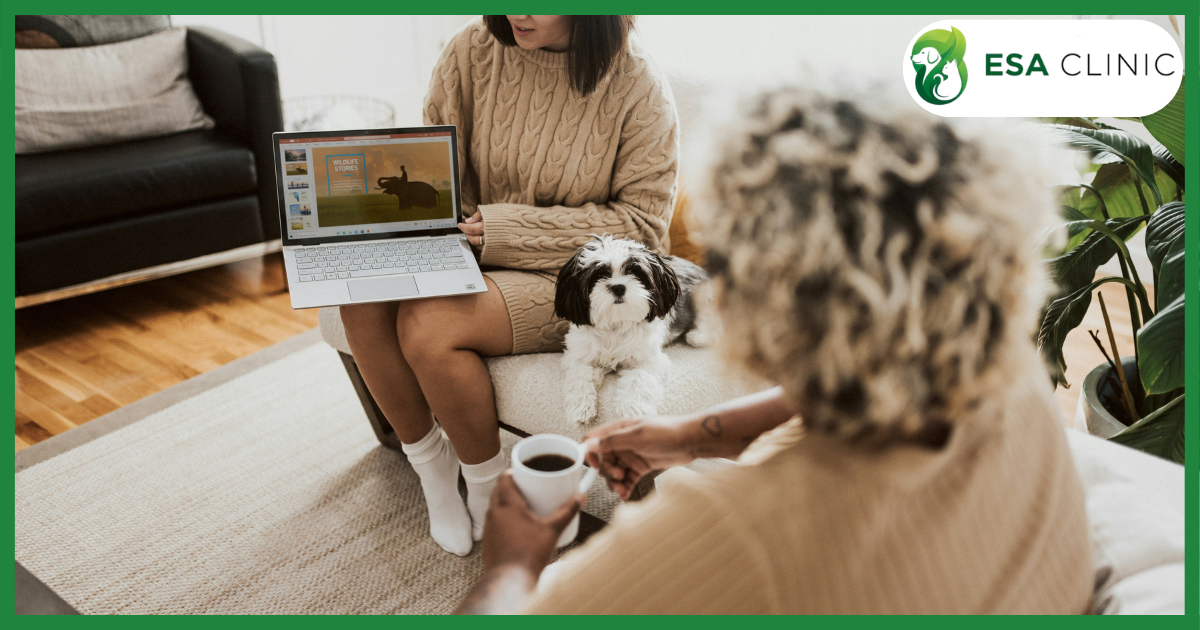 Can Landlords Charge for Emotional Support Animals?