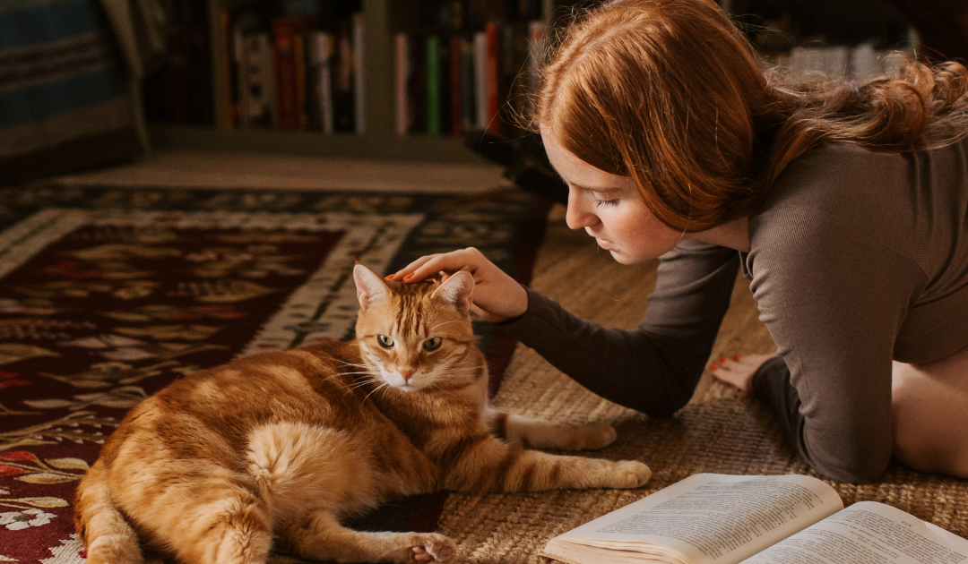 Can a Landlord Deny an Emotional Support Animal in Arizona?