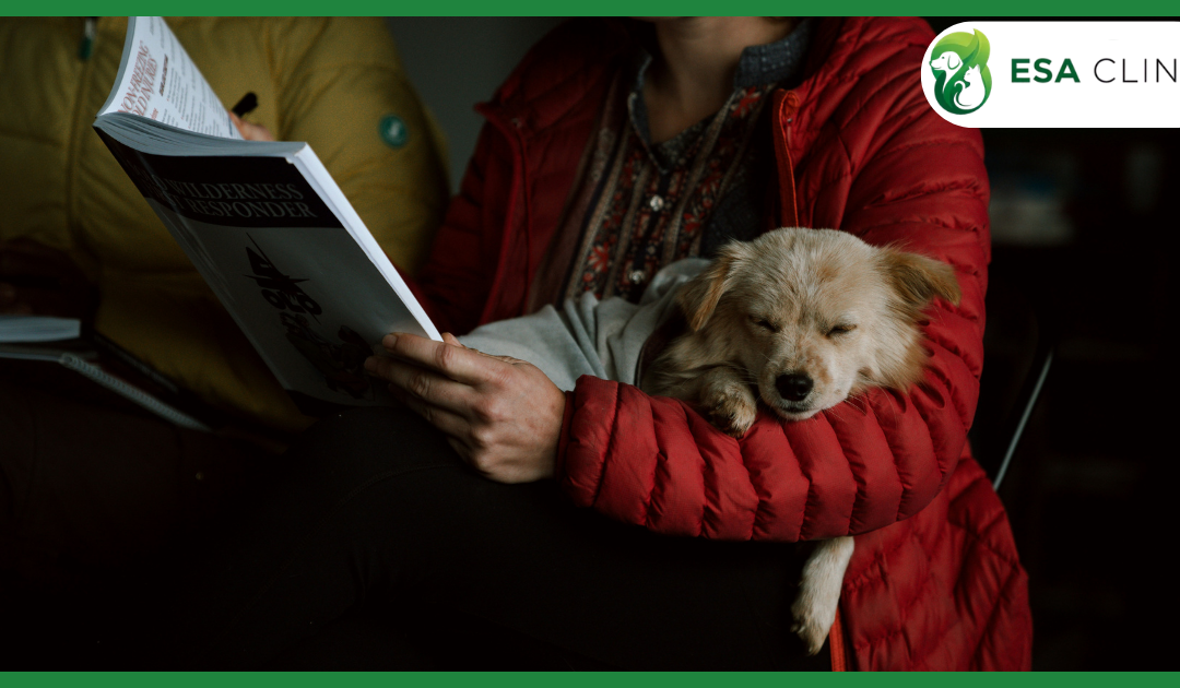 Do You Have to Pay a Pet Deposit for an Emotional Support Animal?