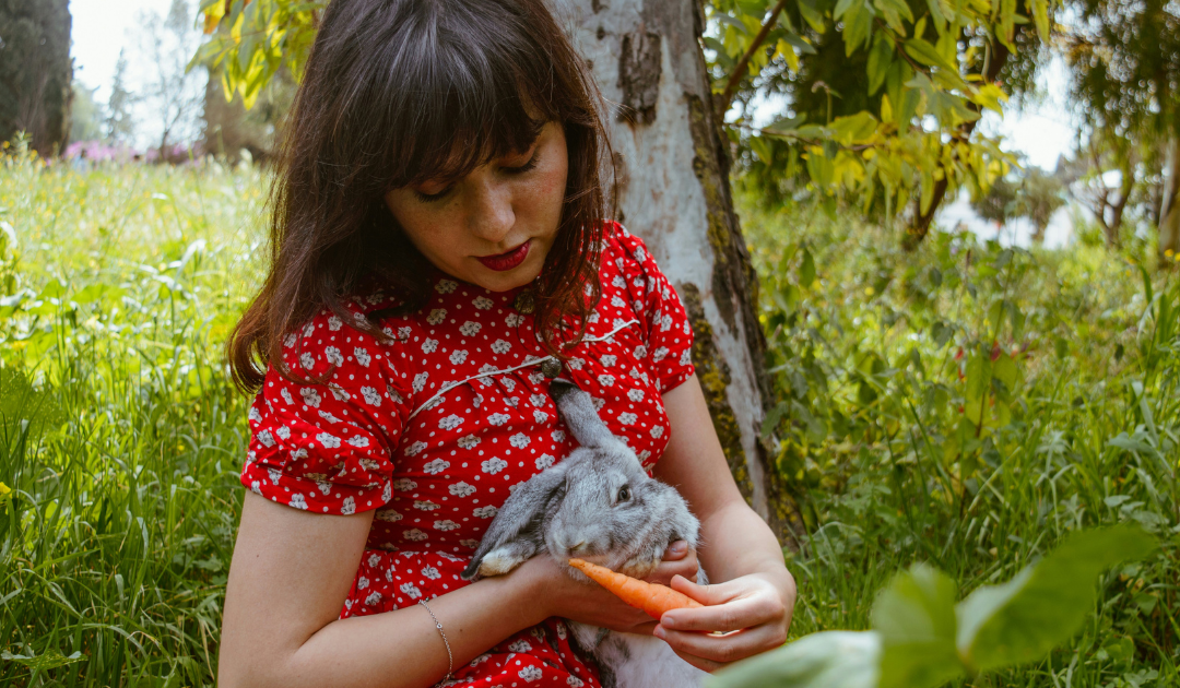 Emotional Support Rabbit: Benefits, Best Breeds, and How to Make It Official