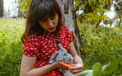 Emotional Support Rabbit: Benefits, Best Breeds, and How to Make It Official