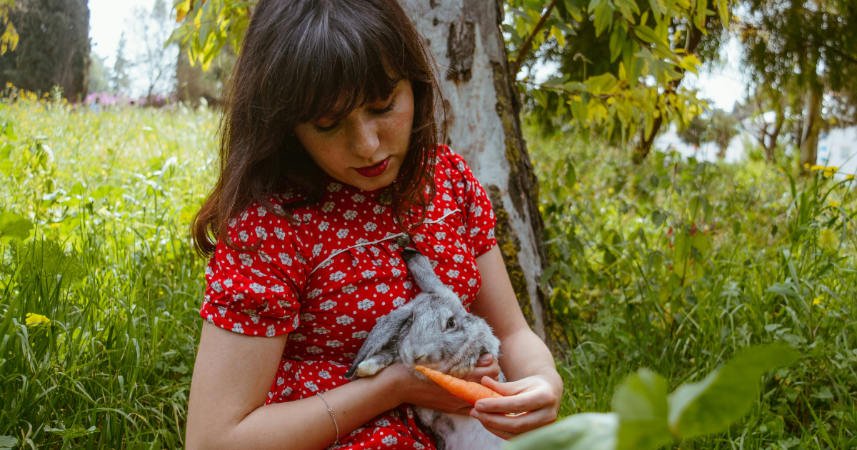 Emotional Support Rabbit: Benefits, Best Breeds, and How to Make It Official