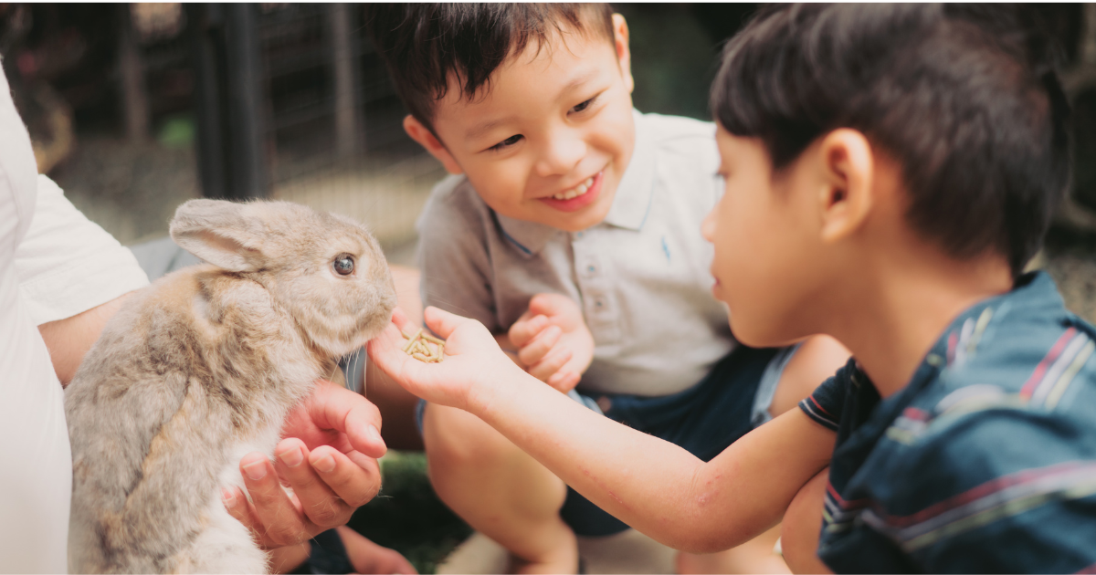 Get an esa for your child