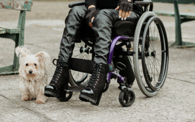 How to Get an ESA for Disabled Individuals