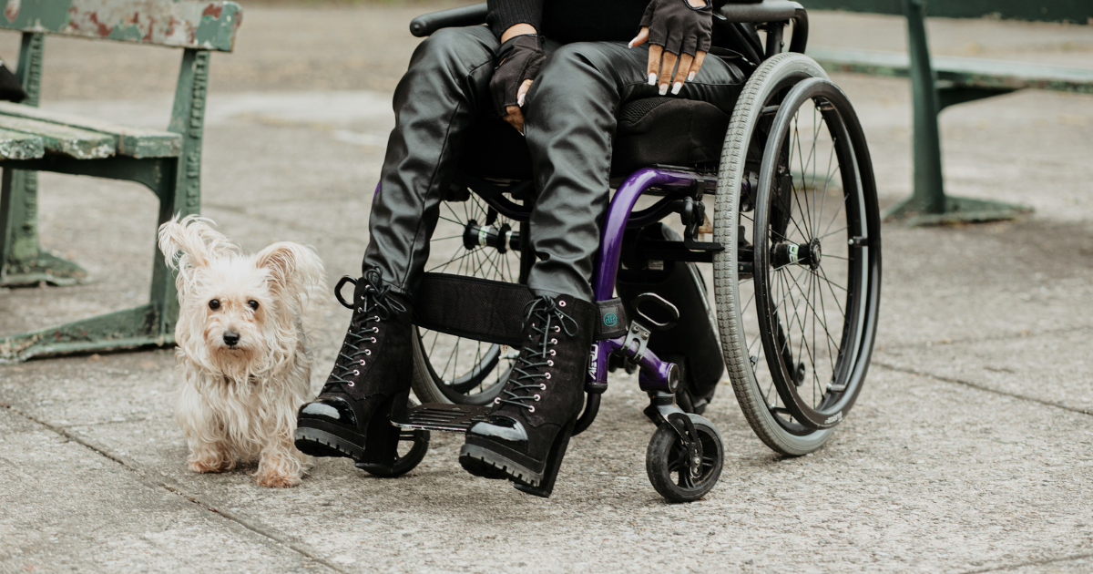 How to Get an ESA for Disabled Individuals How to Get an ESA for Disabled Individuals