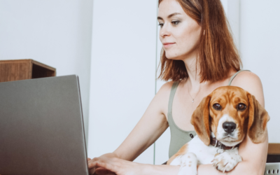 How to Get an ESA for Anxiety
