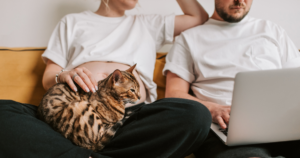How to Get an ESA for Bipolar Disorder