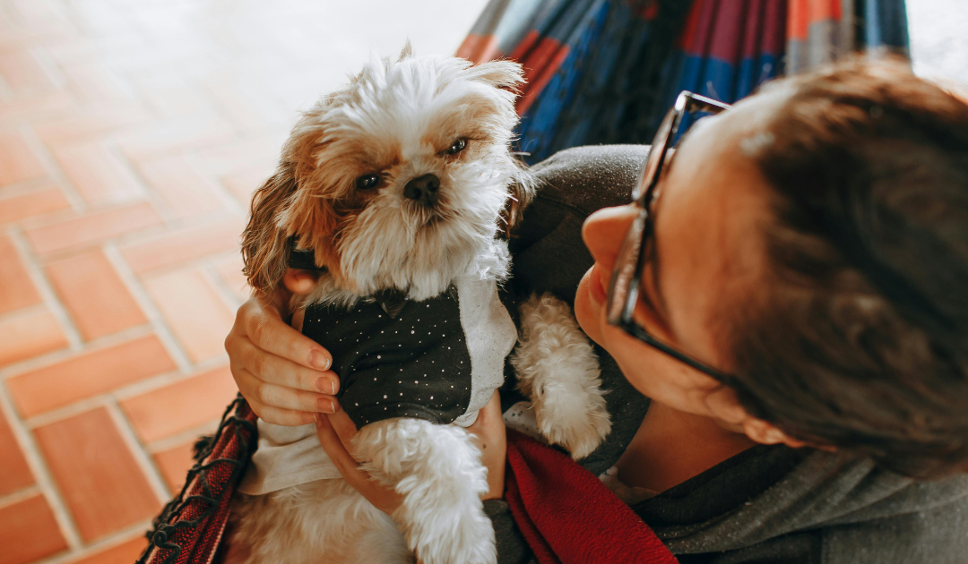 How to Get an ESA for Panic Disorder