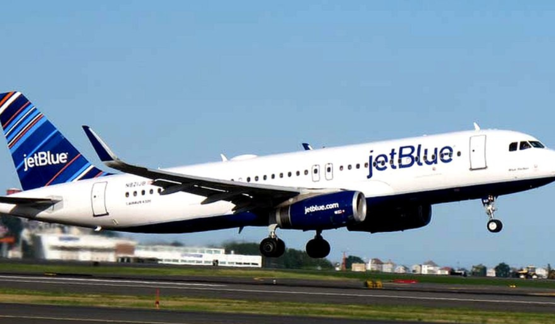 JetBlue Pet Policy 2026: Everything You Need to Know Before You Fly