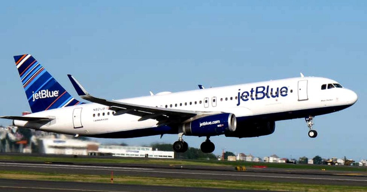 JetBlue Pet Policy: Everything You Need to Know Before You Fly