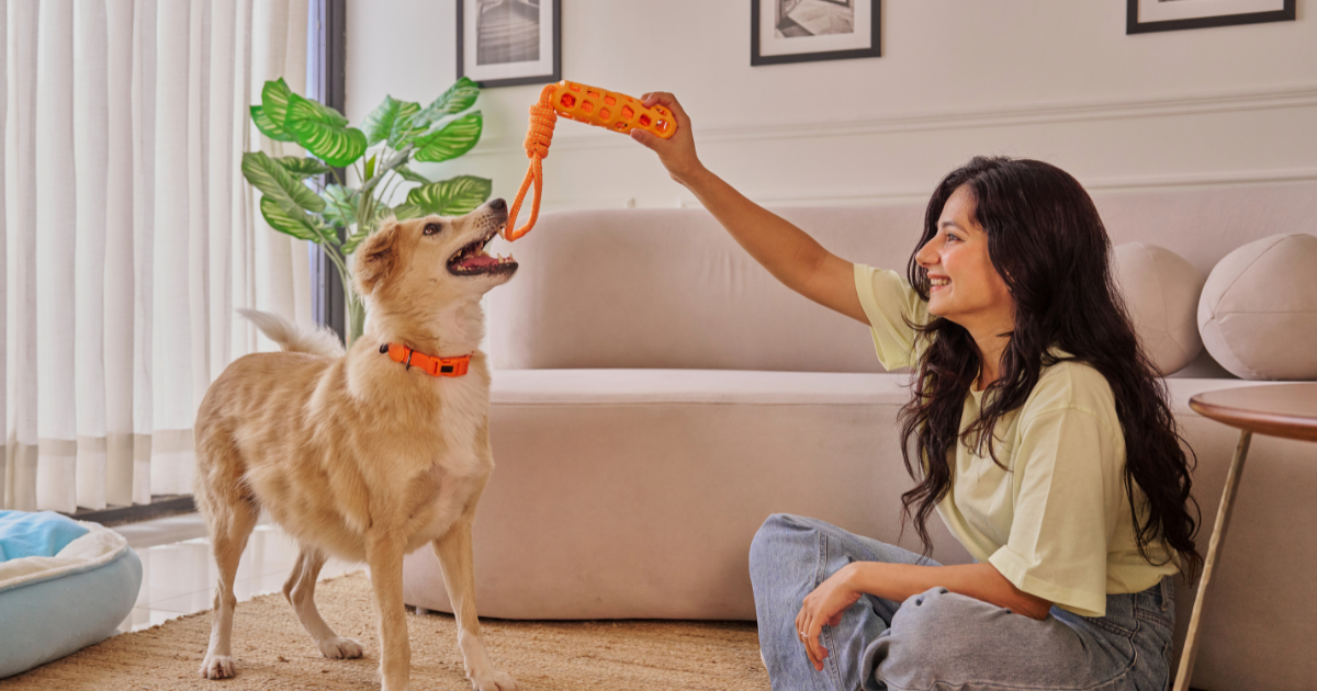 Landlord Deny an Emotional Support Animal in Florida