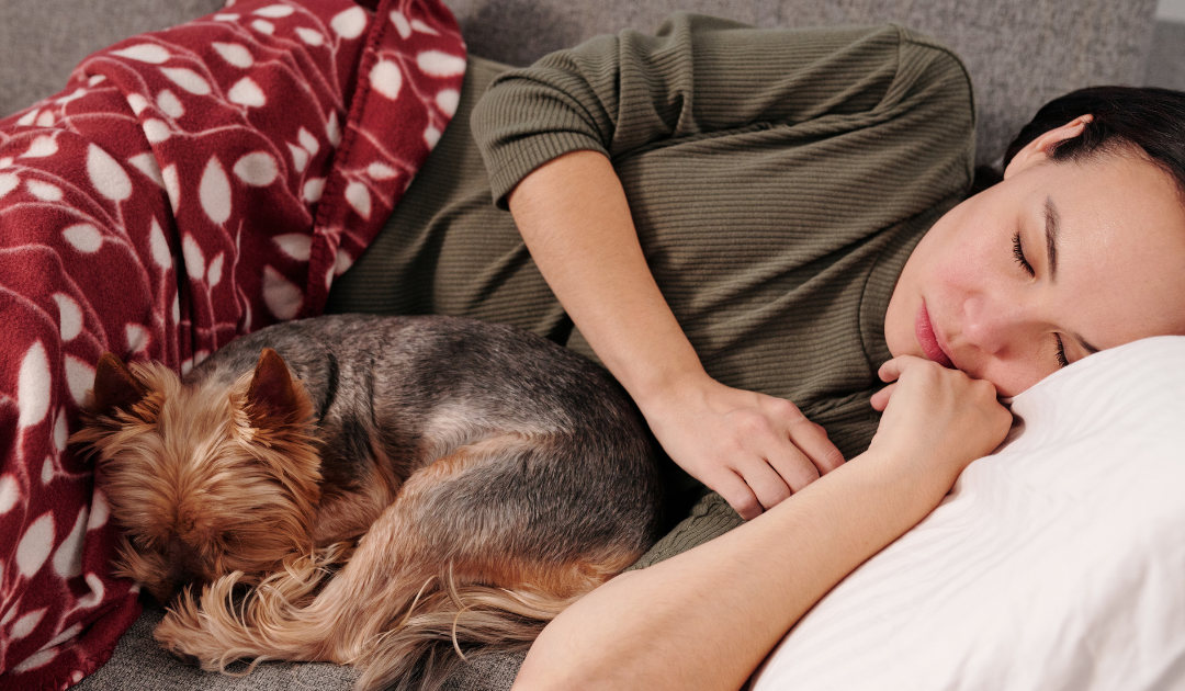 Service Dogs for Anxiety: Tasks, Qualifications, and How to Get One