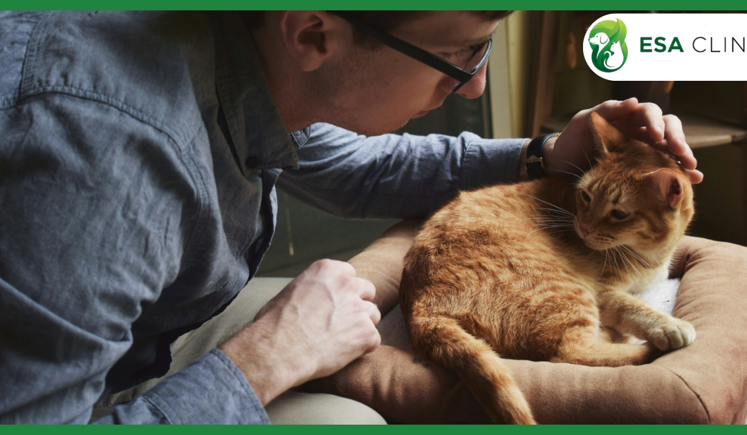 Texas Emotional Support Animal Requirements: The Complete 2026 Guide