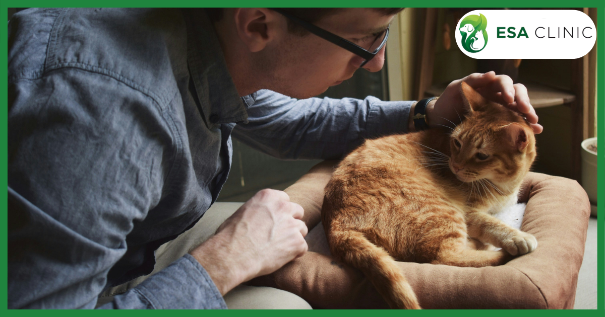 Texas Emotional Support Animal Requirements