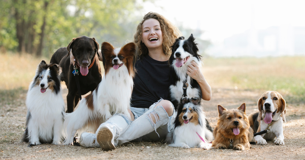 What Is Therapy Dogs International