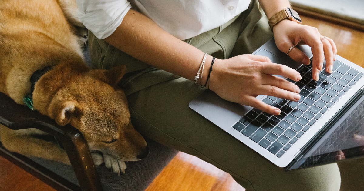 What Are Service Dogs for ADHD How to Get One