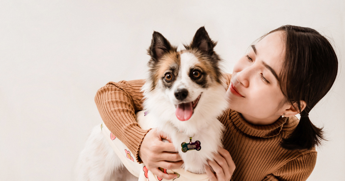 What Is Therapy Dogs International What Is Therapy Dogs International