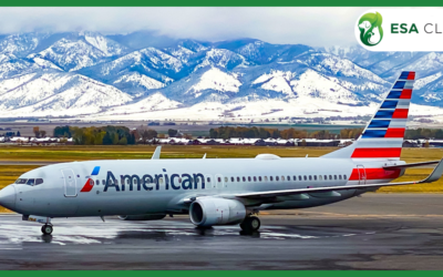 American Airlines Pet Policy: 2026 Guide to Fees, Carriers & Service Animal Rules
