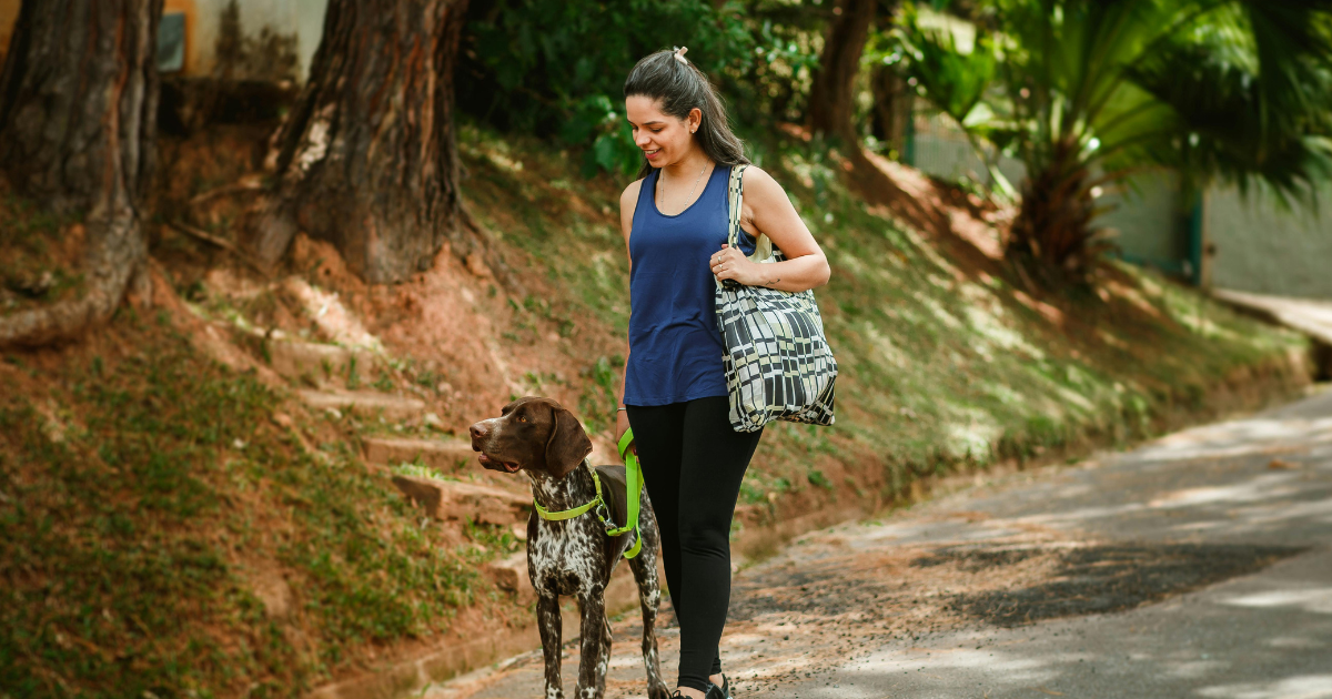 Can Border Collies Be Service Dogs
