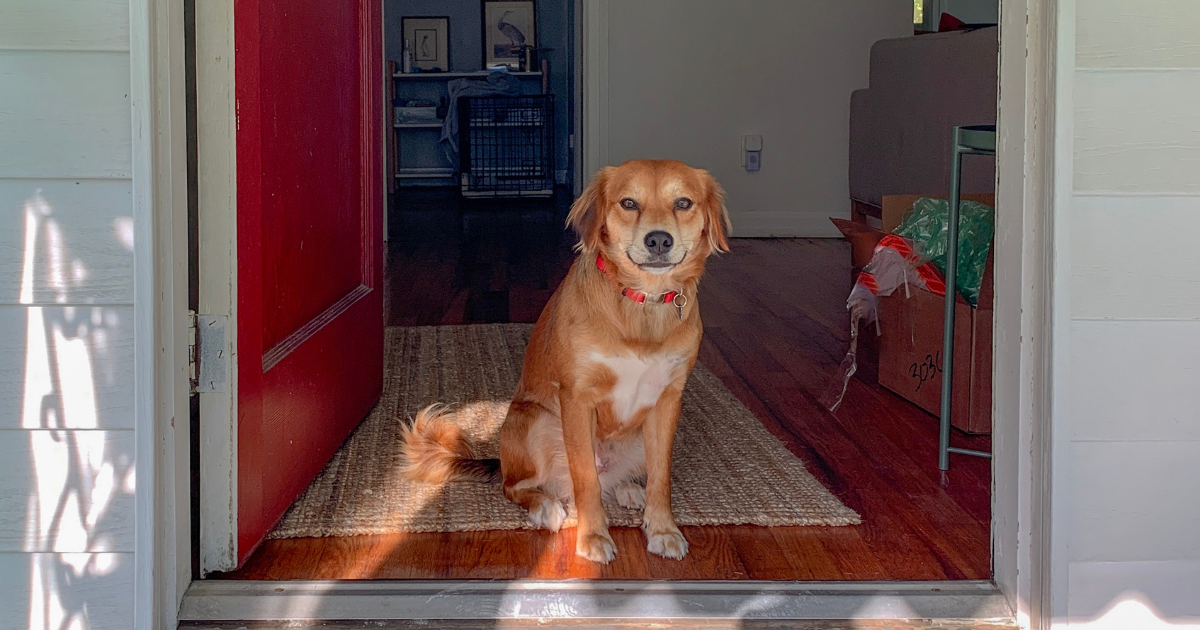 Can a Landlord Deny an Emotional Support Animal in California?