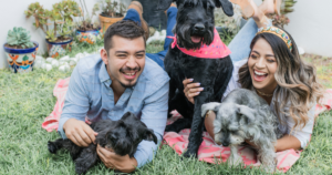 Can You Have Two or More Emotional Support Animals?