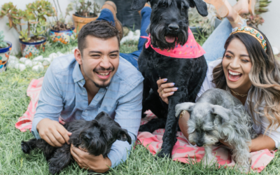 Can You Have Two or More Emotional Support Animals?
