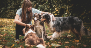 Emotional Support Animal Letter for Two Dogs